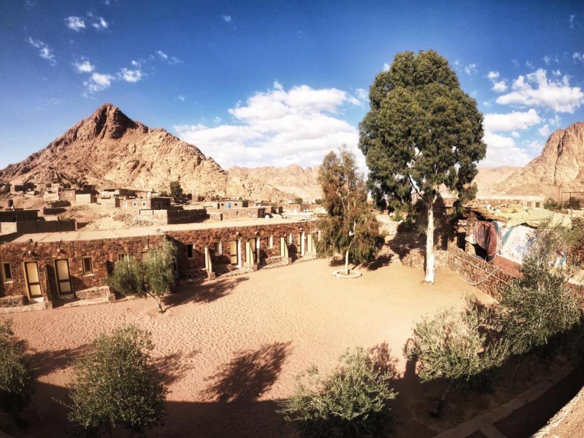 Resort Sheikh Mousa Bedouin Camp