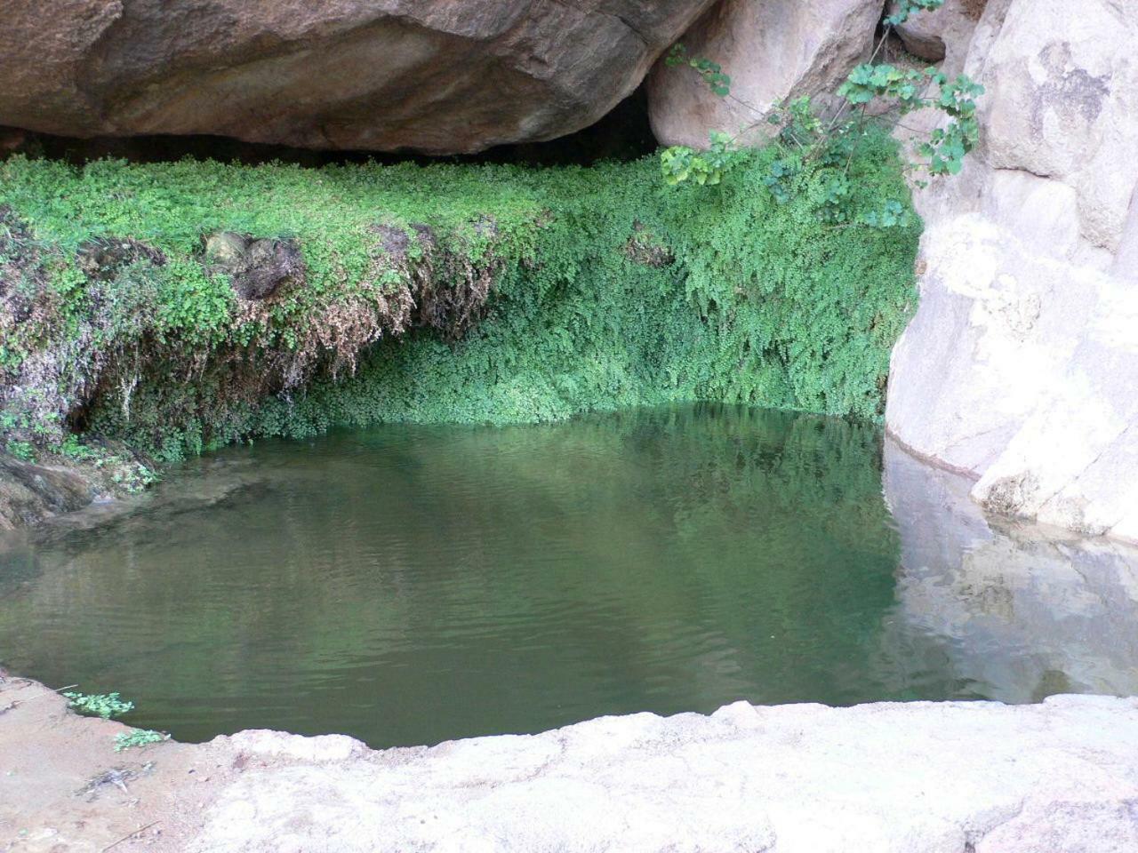 Sheikh Mousa Bedouin Camp Resort