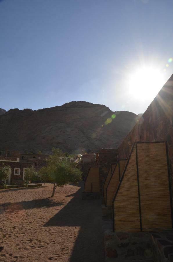 Sheikh Mousa Bedouin Camp Resort Saint Catherine